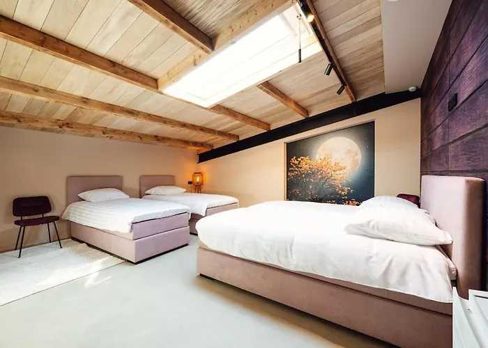 别墅 Schieveld - Nabij Het Meer, & Keukenhof 诺德克豪特