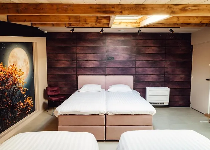 Schieveld - Nabij Het Meer, & Keukenhof 诺德克豪特