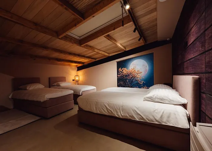 别墅 Schieveld - Nabij Het Meer, & Keukenhof 诺德克豪特