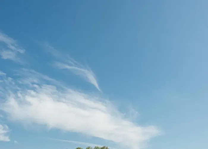 Schieveld - Nabij Het Meer, & Keukenhof